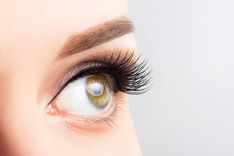 Beautiful makeup and light brown eyebrow close-up.